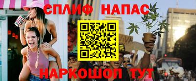 дурь Гатчина