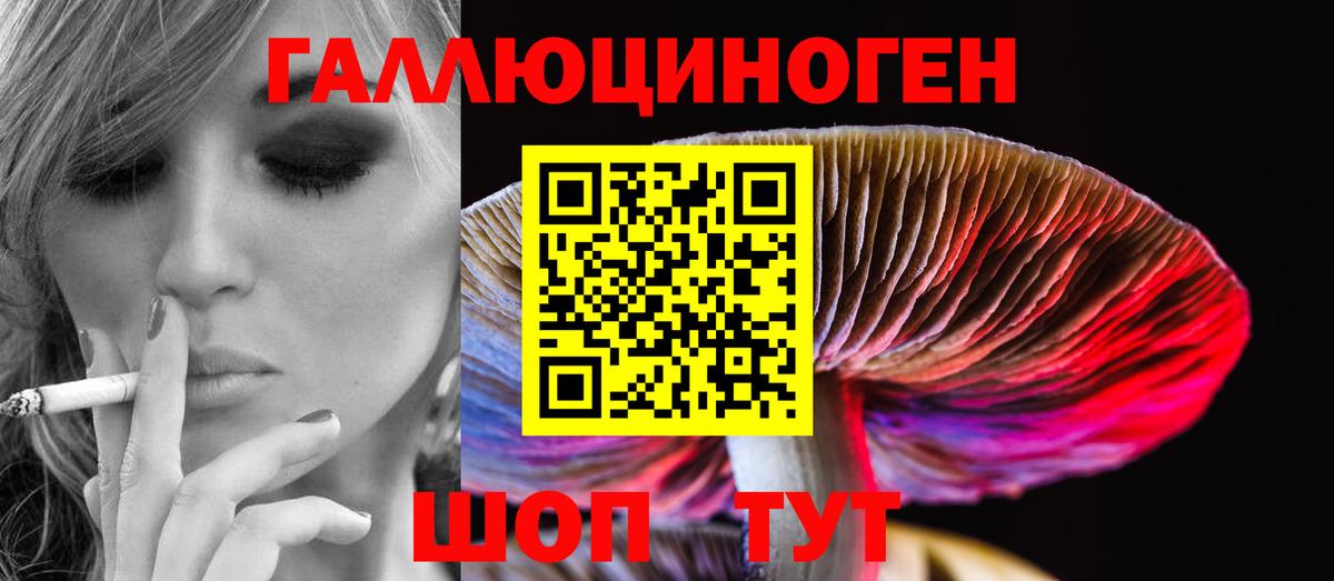 Галлюциногенные грибы MAGIC MUSHROOMS  Галлюциногенные грибы Magic Shrooms  Гагарин  Вход с VPN 
